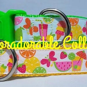 Collar para perros Summer Treats Collar para perros Summer Dog Correa para perros