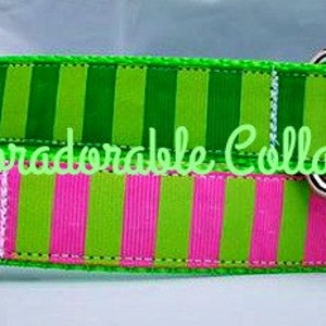 Dog Collar Stripes Dog Collar