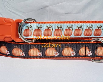Halloween Dog Collar Thanksgiving Dog Collar Pumpkin dog collar
