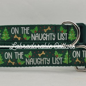 May include: Green dog collar with a white print that says "On the Naughty List" with a Christmas tree and bone design.
