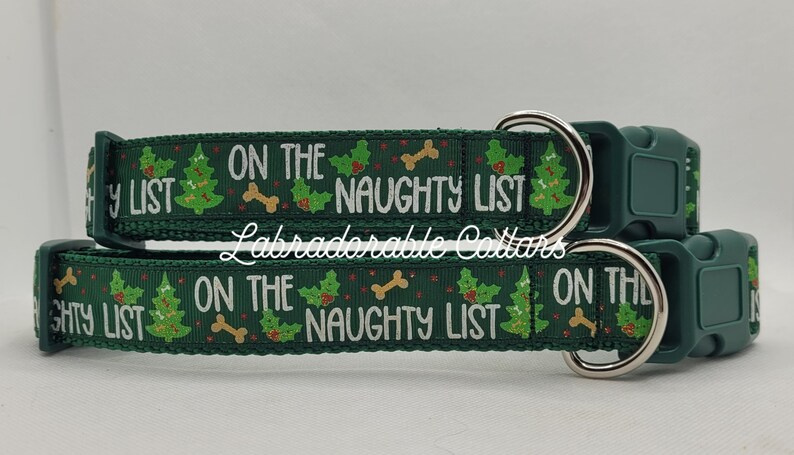May include: Green dog collar with a white print that says "On the Naughty List" with a Christmas tree and bone design.