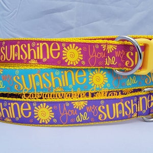 Dog Collar You Are My Sunshine Dog Collars