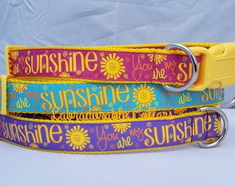 Collar para perro You Are My Sunshine Collares para perro