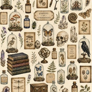 May include: An illustration featuring a collection of vintage curiosities. The image includes butterflies, crystals, botanical specimens, a skull, books, and glass jars. The words "Cabinet of Curiosities" are displayed on a sign.