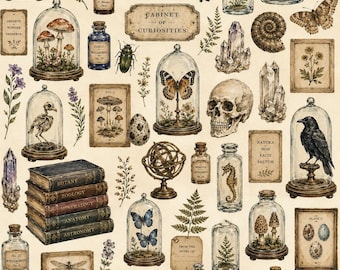 May include: An illustration featuring a collection of vintage curiosities. The image includes butterflies, crystals, botanical specimens, a skull, books, and glass jars. The words "Cabinet of Curiosities" are displayed on a sign.