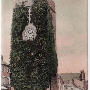 May include: A vintage postcard featuring a tall, stone clock tower in Newton Abbot, heavily covered in dark green ivy. The tower has a crenelated top and a round clock face. People stand in the street below. The text reads: The Clock Tower, Newton Abbot.