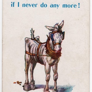Könnte beinhalten: Eine Vintage-Postkarte mit einer Zeichnung eines weißen Esels, der ein braunes Geschirr und ein Halsband trägt. Der Text oben lautet: Well, I've done my bit, if I never do any more! Der Esel steht und schaut nach vorne, mit einem blauen Riemen am Kopf.