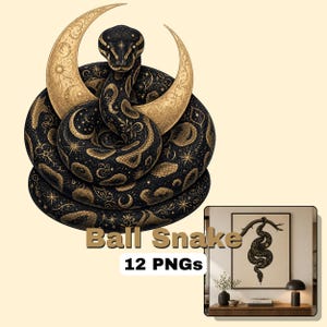 Kungspyton Clipart PNG-paket | 12 bilder av himmelsormar | Kommersiellt bruk