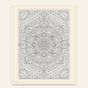 Mandala-, camping- och tropiska målarbokspaket för vuxna, 104 designer, 3 böcker, målarpresent till henne, utskrivbar PDF US Letter bild 2