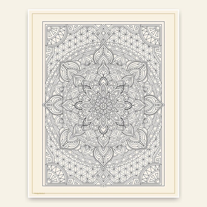 Mandala-, camping- och tropiska målarbokspaket för vuxna, 104 designer, 3 böcker, målarpresent till henne, utskrivbar PDF US Letter bild 2