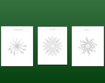 Pacote Completo de Desenhos Botânicos e Florais — Mais de 150 Páginas para Colorir Imprimíveis | 5 Livros | Download Instantâneo em PDF