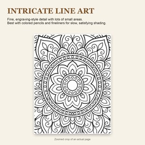 Malbuch mit floralen Mandalas für Erwachsene, 30 detaillierte Blumenmandala-Motive, druckbare PDF-Datei Bild 6
