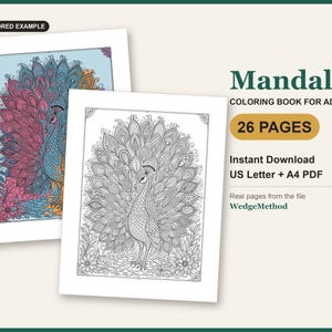 Mandala coloring book cover: a real page from the PDF as line art next to a colored example