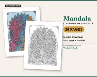 Mandala-Malbuch für Erwachsene, 26 Seiten mit aufwendigen geometrischen Mustern, Achtsamkeits-Malen, druckbare PDF-Datei (US Letter und A4)