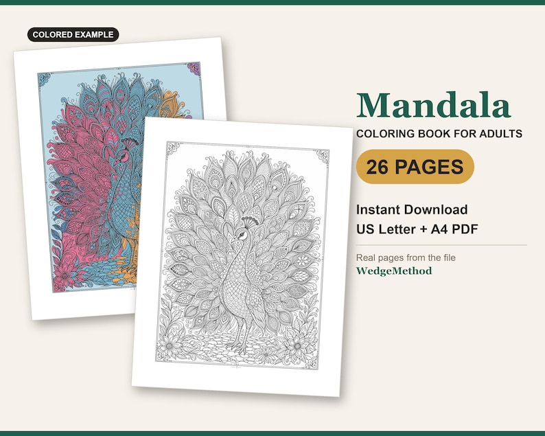 Mandala coloring book cover: a real page from the PDF as line art next to a colored example