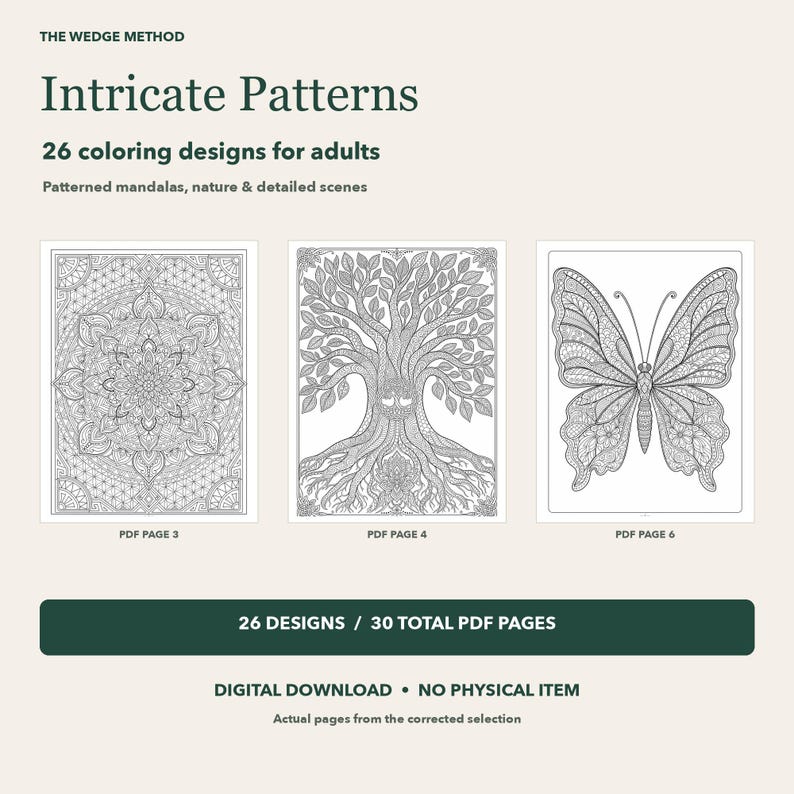 Intricate Patterns digital coloring download: 26 designs in a 30-page US Letter PDF. Three actual included black-and-white pages show a mandala, patterned tree and butterfly. No physical item.
