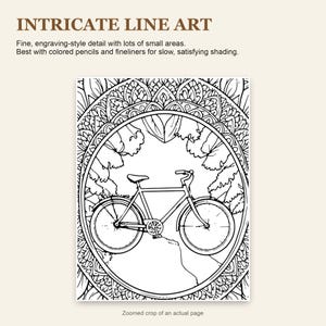 Mandala Coloring Book for Adults, 40 Detailed Mindfulness Mandalas, Printable PDF image 7