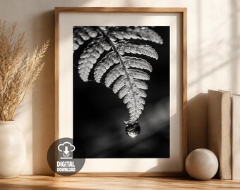 Makro Farn Blatt Regentropfen schwarz weiß druckbare Wand Kunst Poster