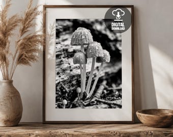 Regentropfen Pilz Druck schwarz weiß Wald druckbare Wand Kunst Poster
