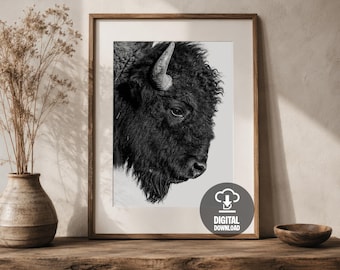 American Bison Nahaufnahme schwarz weiß druckbare Wand Kunst Poster