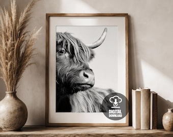 Highland Kuh Nahaufnahme schwarz weiß druckbare Wandkunst Poster