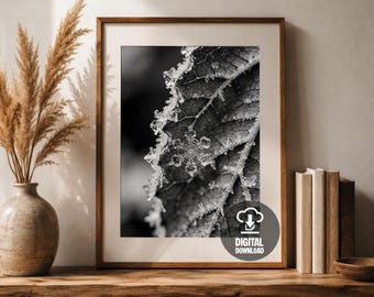 Makro Schneeflocke Blatt Frost schwarz weiß druckbare Wand Kunst Poster