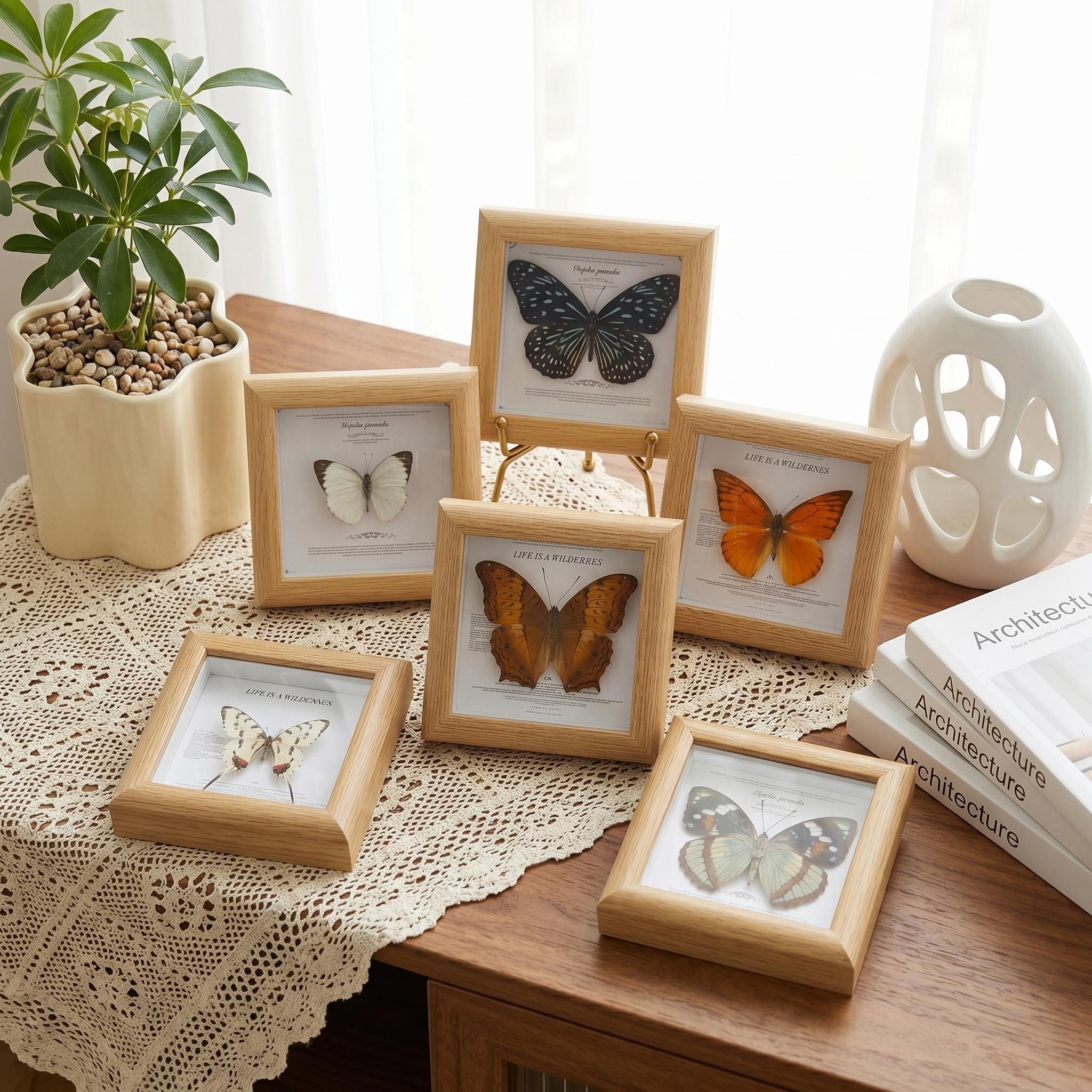 Butterfly Picture Frames - Etsy