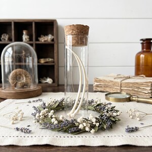 Natural Snake Ribs! Ball Python Skeleton Bones, Vulture Culture Art Supply Gift