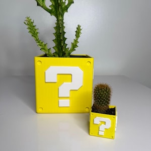 Puede incluir: Dos macetas amarillas con signos de interrogación blancos, una grande y otra pequeña, cada una con un cactus diferente. La maceta más grande tiene una planta alta, verde y espinosa. La maceta más pequeña tiene un cactus redondo y marrón.