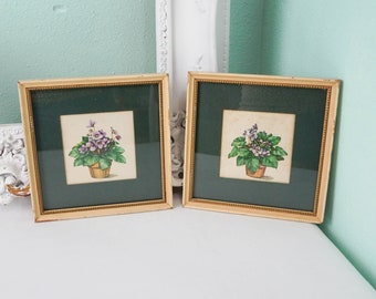Pair of TWO Framed African Violet Prints / 1960s 70s Garden Art / Vintage Antique Floral Theme Decor
