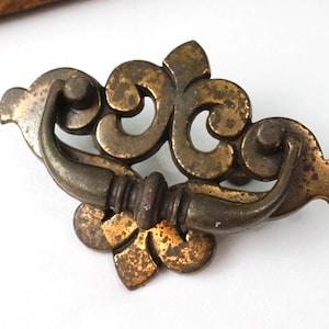 May include: A vintage brass cabinet pull with a decorative, ornate design. The pull has a  distressed finish and a floral motif.