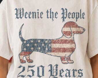 Dachshund 4th of July Png, America 250th Semiquincentennial Ween Png, American Weenie The People Png, Dachshund Lover Png