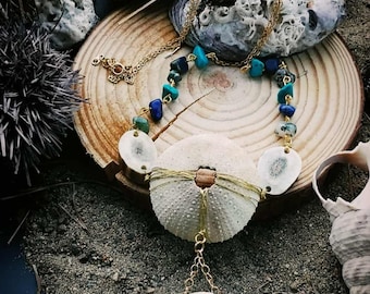 Espina dorsal del mar