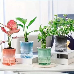 May include: Four glass planters with plants. The planters are in shades of orange, blue, green, and gray. Each planter has a ribbed design and contains a different type of plant. The planters are sitting on a white surface.