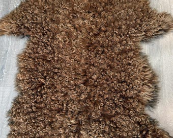 May include: A brown sheepskin rug featuring dense, curly, and textured wool fibres. The pelt has an irregular, organic shape with varying shades of light and dark brown throughout the thick, shaggy pile, creating a natural and multi-tonal appearance.