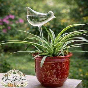 Könnte beinhalten: Ein klarer, glasförmiger Vogel-Pflanzenwässerer, gefüllt mit Wasser, in einem roten Keramiktopf mit goldenen Blumendesigns. Der Topf enthält eine grün-weiß gestreifte Pflanze. Der Hintergrund ist eine verschwommene Szene im Freien.