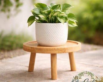 Small Wooden Plant Stand Indoor Plant Holder Mini Flower Pot Stand Tabletop Planter Display