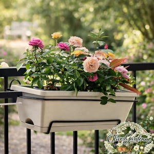 May include: A rectangular, off-white planter box filled with vibrant roses in shades of pink, yellow, and peach. The planter is suspended from a black metal railing. The image includes the text "Olives Gardenn".