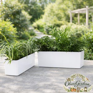 May include: Two white rectangular planters filled with green plants. One planter is angled, and the other is straight. The planters are on a concrete surface, with a blurred background of greenery and a pathway.