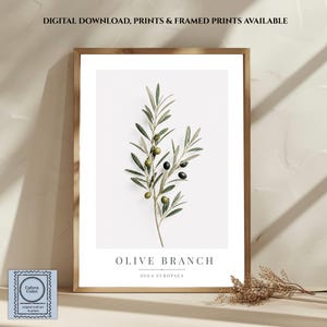 Väggkonsttryck med olivkvist | Minimalistisk botanisk dekor | Naturtryck med salviagrönt tryck | Digital nedladdning och inramad tryck