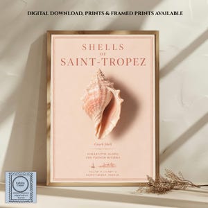 Könnte beinhalten: Ein gerahmter Kunstdruck mit hellpfirsichfarbenem Hintergrund und einer zentralen Abbildung einer Muschel. Der Text lautet SHELLS OF SAINT-TROPEZ, Conch Shell, COLLECTED ALONG THE FRENCH RIVIERA sowie Koordinaten für Saint-Tropez, Frankreich.