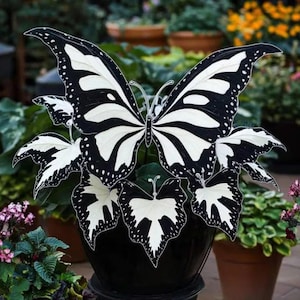 May include: A black and white butterfly decoration with intricate wing patterns and delicate antennae. The butterfly is perched atop a plant with white and black leaves, set in a black pot. The background features other potted plants.