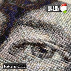 May include: A detailed cross-stitch embroidery pattern featuring a close-up of a human eye rendered in shades of gray, blue, and brown thread. The image includes a PDF FILE DOWNLOAD icon and the text Pattern Only at the bottom of the frame.