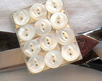 12 White, 9 mm, Mother of Pearl Buttons, Lustrous, Saw-toothed Rim, 2 Holes, Shell Crafts