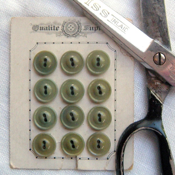 12 Glossy 13 mm, Khaki Olive Green Shirt Buttons, Light Catching, Narrow Rim, Central Bump with 2 holes, Vintage Qualite Superior Buttons