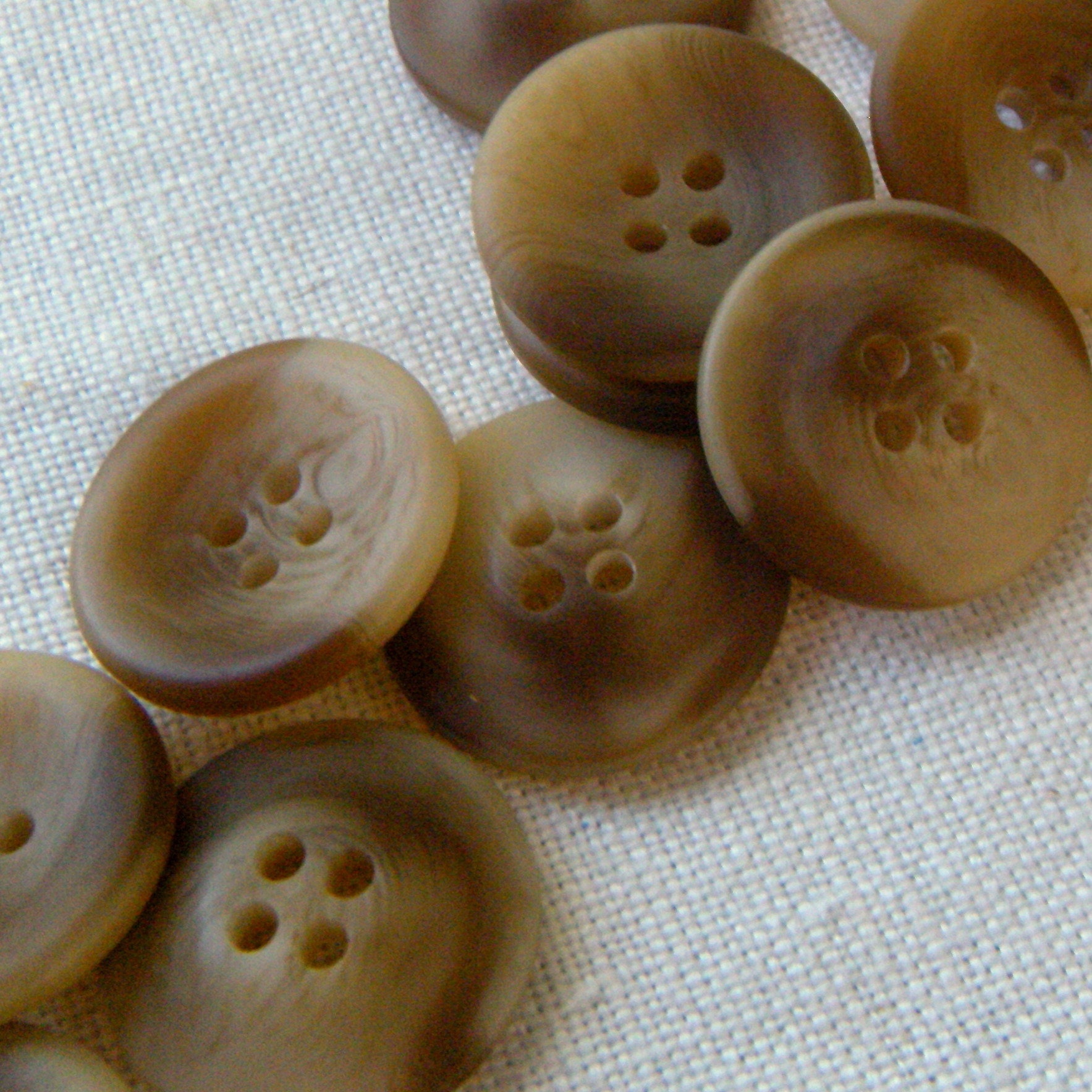 Light Brown Faux Horn Buttons - Set of 18 – Edgewood Garden Studio