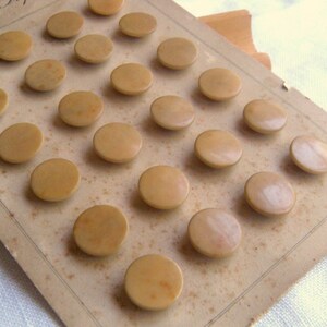 Antique French V.I. Buttons, 14 mm, 24 on Original Card, Light Brown, Vegetable Ivory, Acceptable Condition, Natural Material, Tunnel Shank