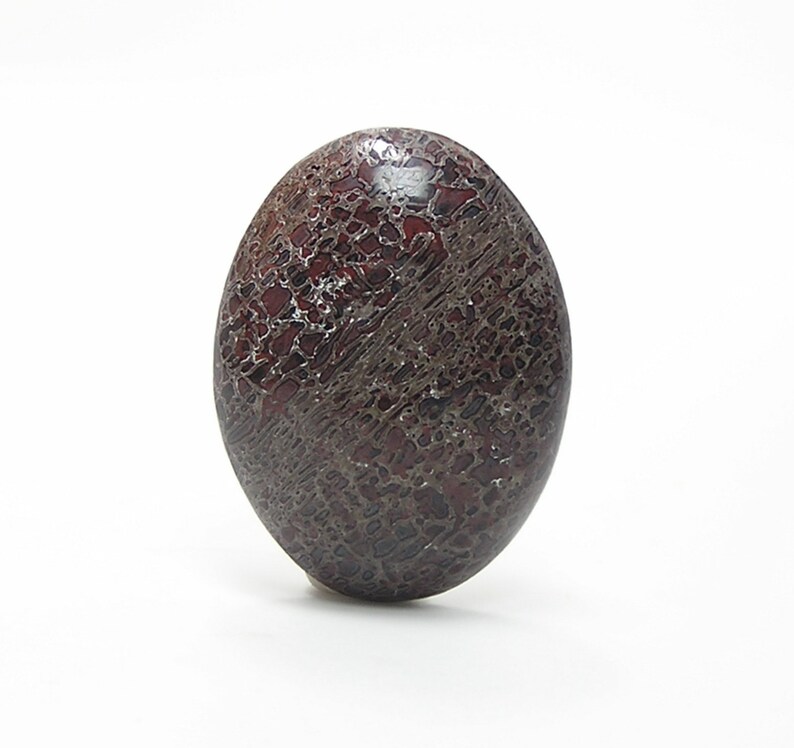 Fossil Dinosaur Gembone Semiprecious Gemstone Agate Dinosaur Oval Cabochon