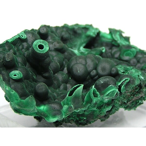 Malachite Dark Green Stalactitic Botryoidal Malachite Natural Mineral Specimen from estate collection