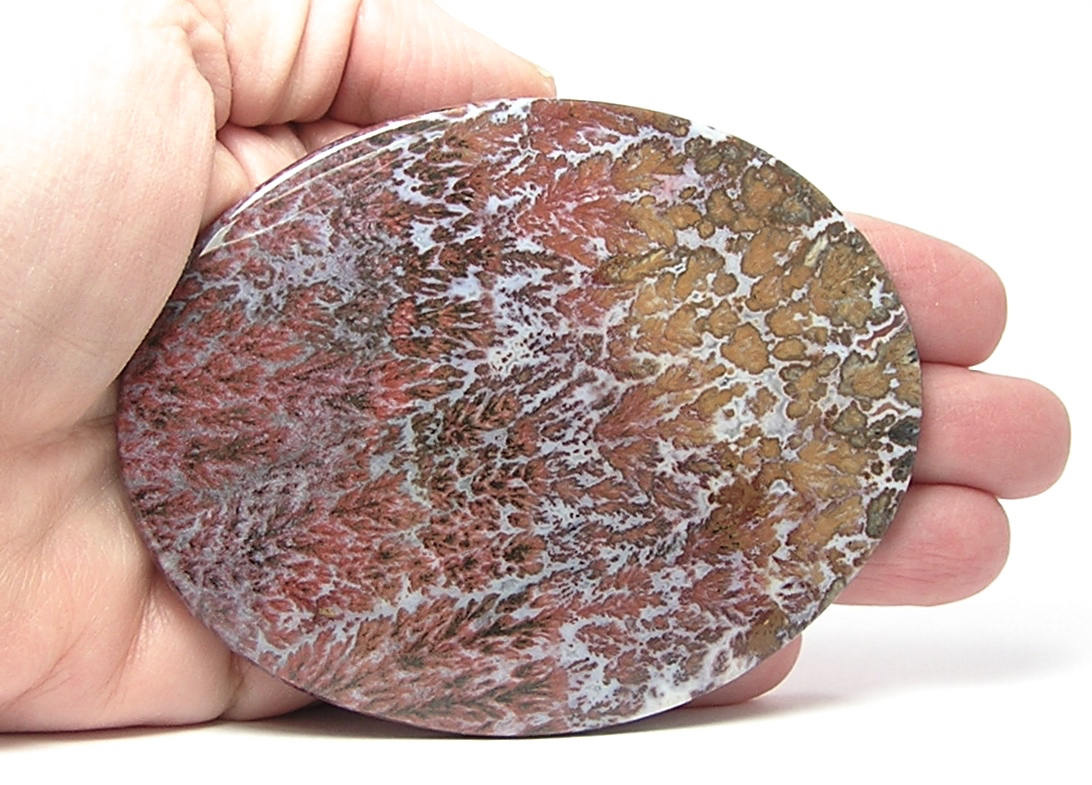 Agate Gemstone Texas Rare Bouquet Agate Lone Star Gem